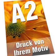 Plakate DIN  A2 135g Bilderdruck 4/0-farbig