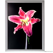LED Lichtkasten Leuchtrahmen Rahmen Posterrahmen beleuchtet A4 A3 A2 A1mit CE