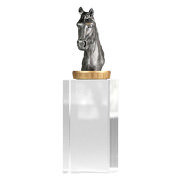 Pokal Trophäe Reiten Pferde mit Glassockel Glaspokal