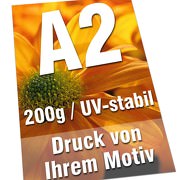 Plakate DIN A2 200g Bilderdruck 4/0-farbig UV-stabil Poster