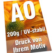 Plakate DIN A0 200g Bilderdruck 4/0-farbig UV-stabil Poster