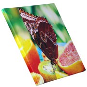 Keilrahmenbild Leinwanddruck von Ihrem Foto 2cm Rahmen