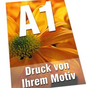 Plakate DIN  A1 135g Bilderdruck 4/0-farbig