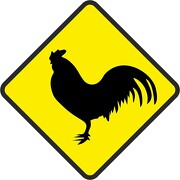 Aufkleber oder Schild Hahn Geflügel Hühner Achtung 12 und 25 cm