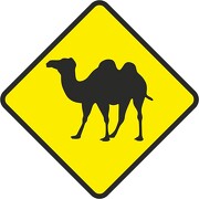 Aufkleber oder Schild Kamel Camel wetterfest verschiedene Größen