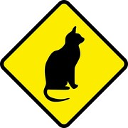Aufkleber oder Schild Katze Cat 12 x 12 cm oder 25 x 25 cm als Schild wetterfest
