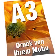 Plakate DIN  A3 135g Bilderdruck 4/0-farbig