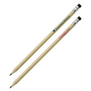 Bleistift mit Radiergummi STUDENT Holz mit Druck Werbung Logo bedrucken