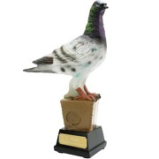 Trophäe Pokal Taube Zuchttauben 19 cm hoch mit Gravur
