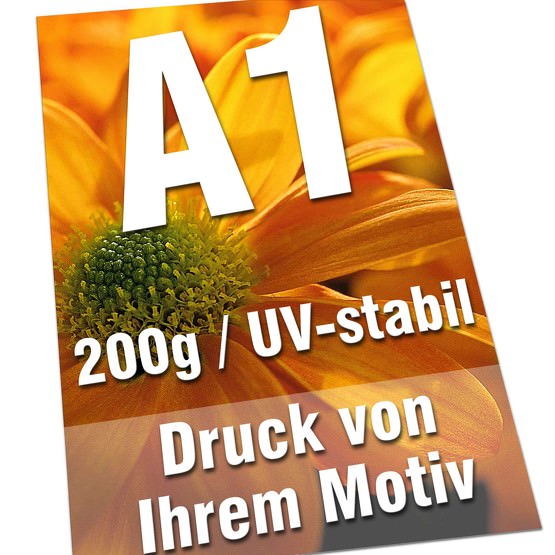 Plakate DIN A1 200g Bilderdruck 4/0-farbig UV-stabil Poster