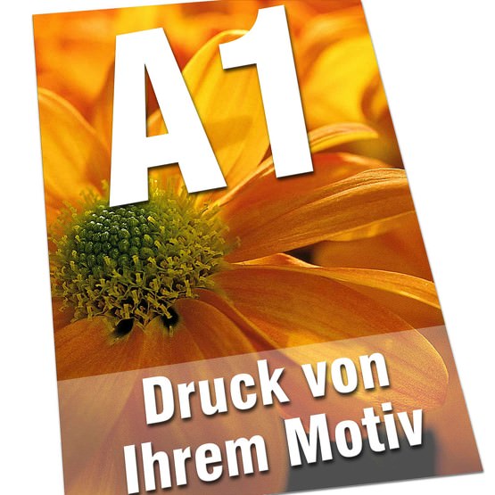 Plakate DIN  A1 135g Bilderdruck 4/0-farbig