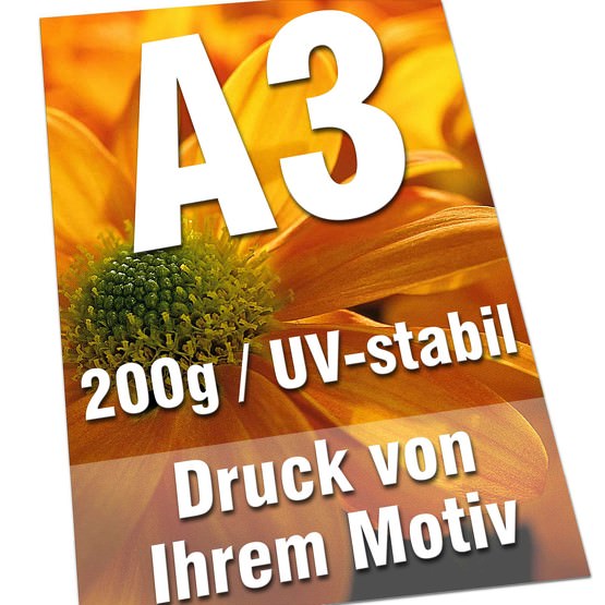 Plakate DIN A3 200g Posterdruck 4/0-farbig UV-stabil Poster